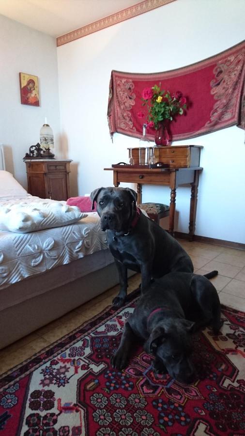 B&B Da Paolo Con Vista Lago Di Garda San Zeno di Montagna Kültér fotó