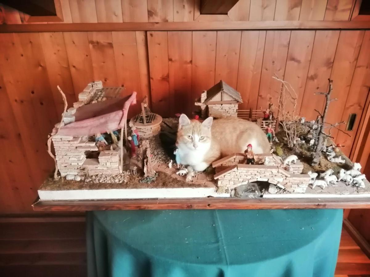 B&B Da Paolo Con Vista Lago Di Garda San Zeno di Montagna Kültér fotó